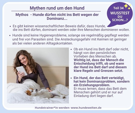 Wusstest Du schon? Mythen