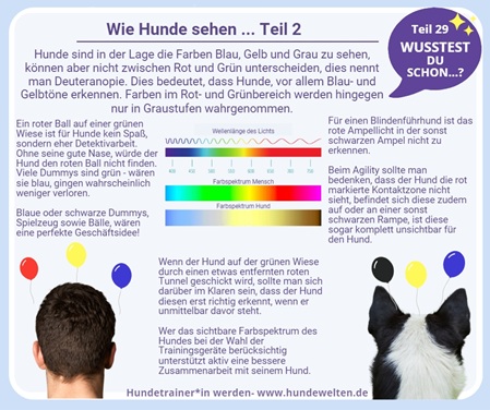 Wusstest Du schon? - Wie Hunde sehen Teil 2