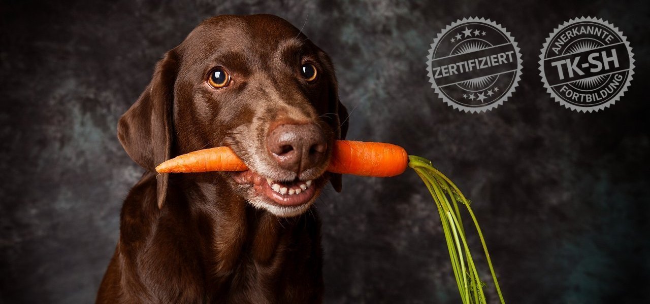 Ernährungsassistent Hund®