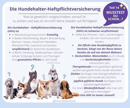 Wusstest Du schon? Hundehalterhaftpflicht