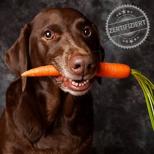 Ernährungsassistent Hund - Fernlehrgang