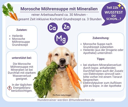 Wusstest Du schon? Morosche Möhrensuppe - Mineralien