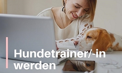 Video Hundetrainer werden