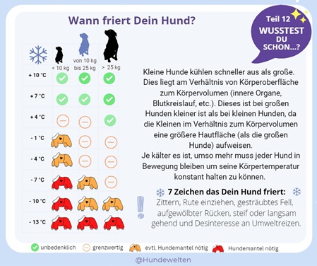 Wann friert dein Hund?