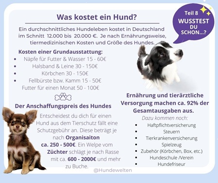 Wusstest Du schon? Was kostet ein Hund?